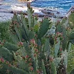 Mansuela Punta Lejlighed *